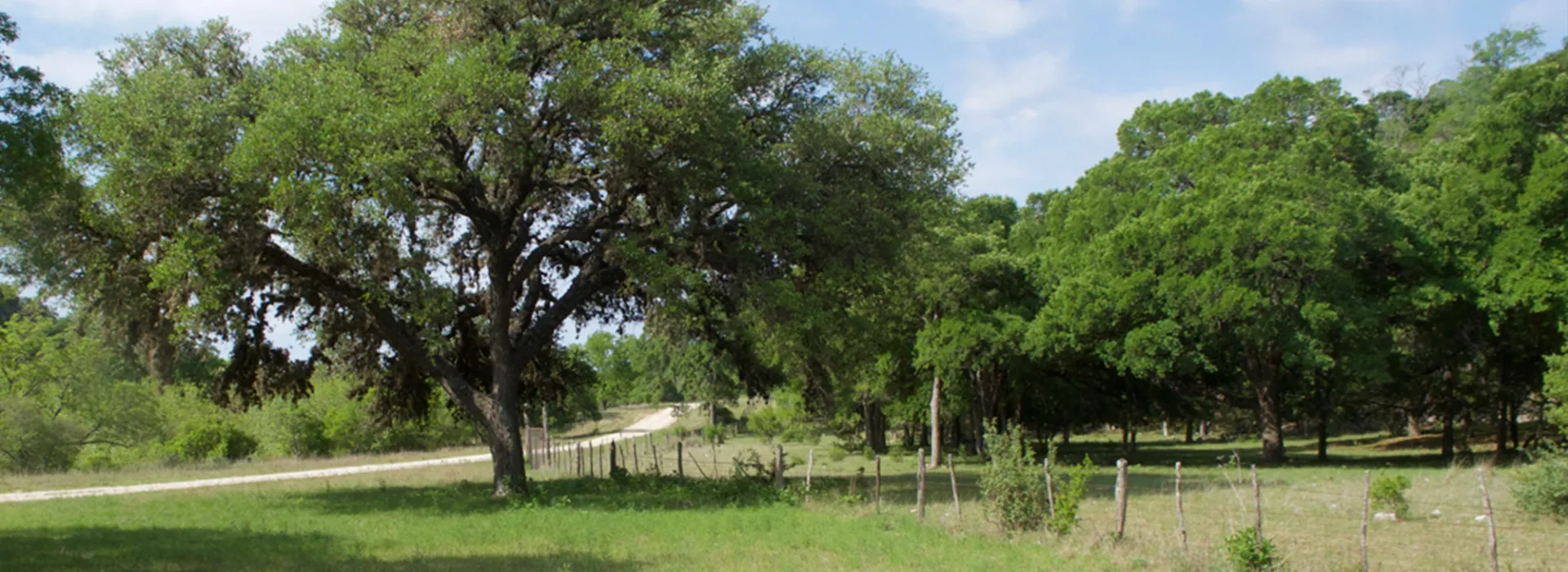 Roberts Ranch Scenery